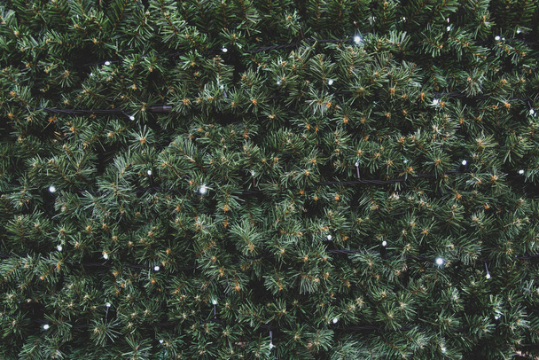Close up of a branch and leaves of a fake Christmas tree outdoor. Winter texture background. - Φωτογραφία, εικόνα
