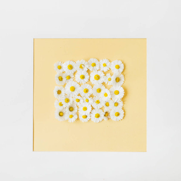 Frame border of chamomile daisy flower buds on yellow background. Flat lay, top view minimal creative concept. - Foto, imagen