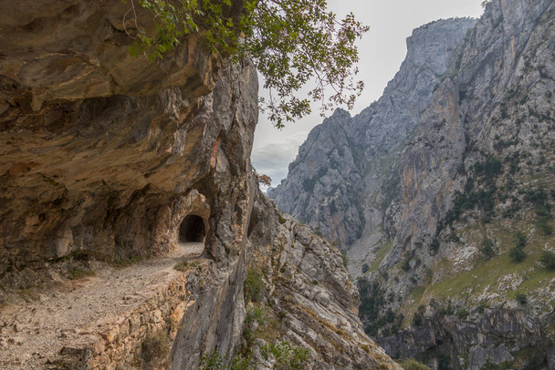 Vía del túnel en el cañón del río Cares
 - Foto, Imagen