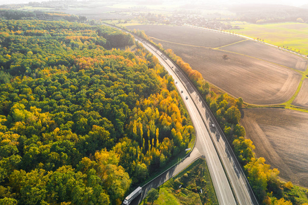 Highway between Autumn forest and cultivated ground with yellow trees at sunset in autumn. Aerial view of the traffic on speedway - Photo, Image