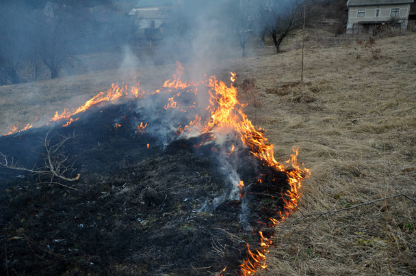 Baharda, kuru ot yandı - Fotoğraf, Görsel