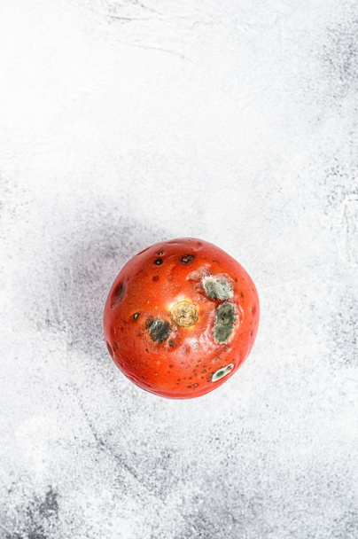 decayed rotten tomato. Gray background. Top view. Space for text - Photo, Image
