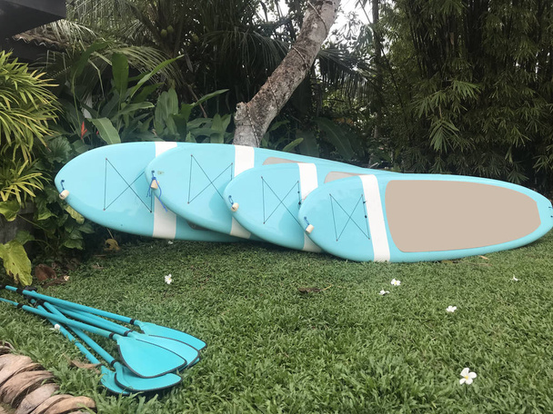 Sup boards with paddles on the green grass near palms and plumeria flowers on the grass. - Photo, Image