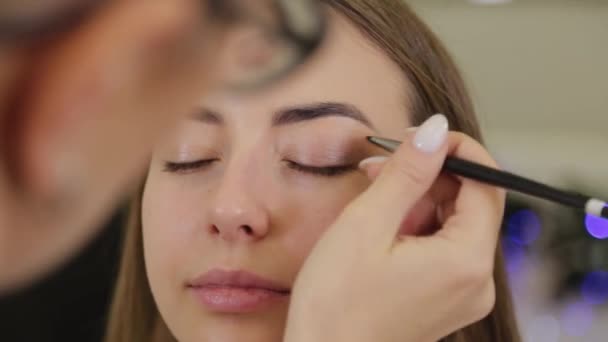 Professional eye makeup. Stylist makeup artist applies makeup to a young woman with a special brush in a beauty salon. - Footage, Video