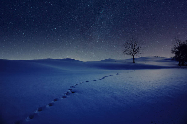 молочный путь галактики зимой
 - Фото, изображение