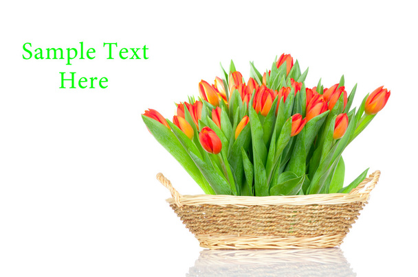 Tulips in the basket isolated on white background - Foto, Imagem