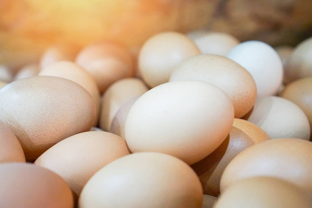 tas de nourriture aux œufs dans la ferme poulet / fermer les œufs dans le panier
  - Photo, image