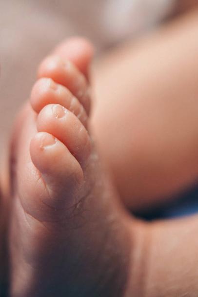 Newborn Baby's feet. legs massage concept of childhood, health care, IVF, hygiene - Valokuva, kuva