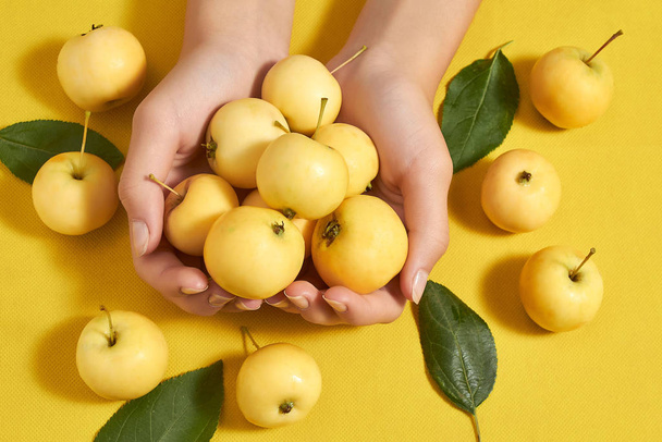 Op een gele achtergrond vrouwelijke handen met gele appels. Vitaminen, goede voeding - Foto, afbeelding