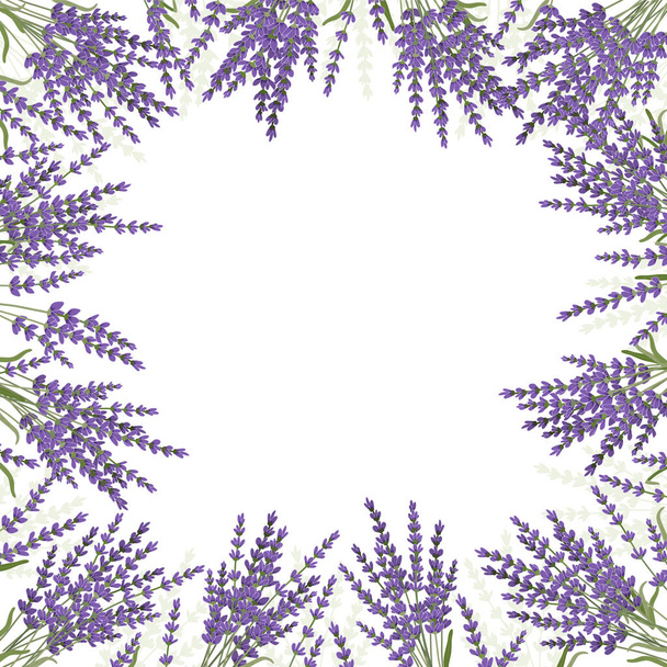 Lavender flower design background frame. Vector illustration - Vector, Image