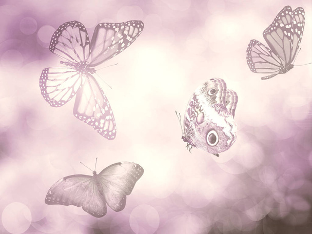 Fondo natural con mariposa - Foto, Imagen