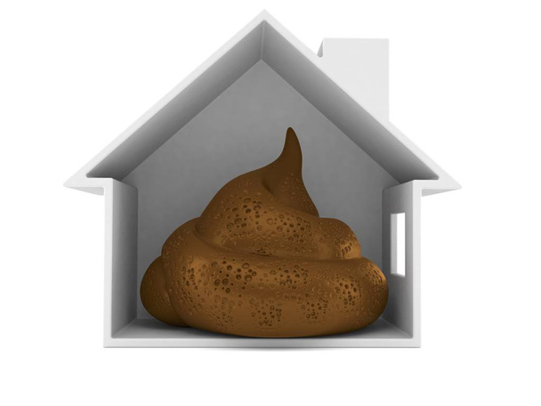 Dung poo inside house cross-section - Photo, Image
