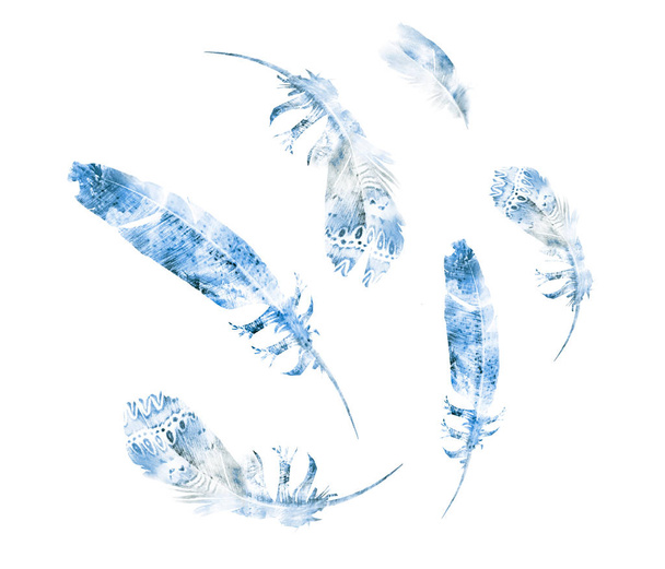 Watercolor feathers , isolated on white background - Fotó, kép