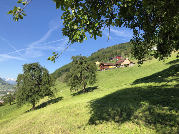 Gospodarstwa wiejskie i tradycyjna architektura na polanie wzgórz i zboczach gór wzdłuż jeziora Luzerne - Vierwaldstattersee lub Vierwaldstaettersee - Kanton Nidwalden, Szwajcaria - Zdjęcie, obraz