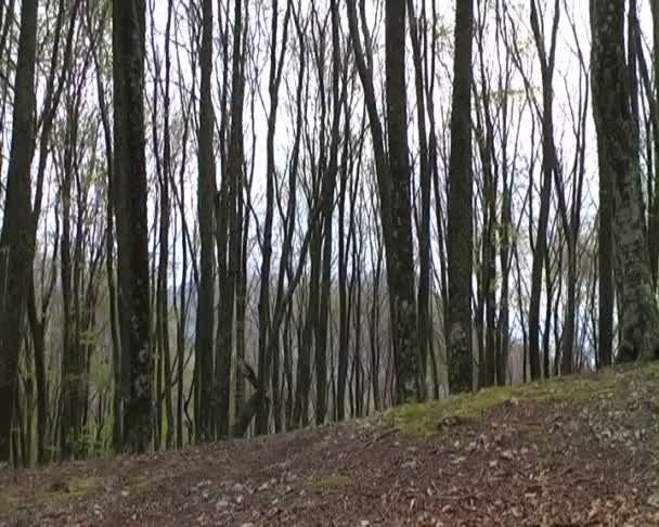 Hiking - Footage, Video