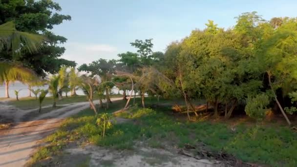 Filmový dron natočený při západu slunce nad polní cestou v džungli a pohled na záliv s jachtami a čluny - Záběry, video