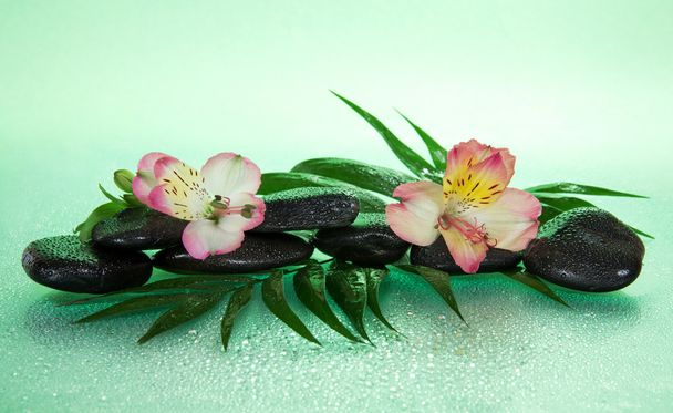 Virág, egy alstroemeria és a kövek, a víz csepp a howea levél, egy zöld háttér - Fotó, kép