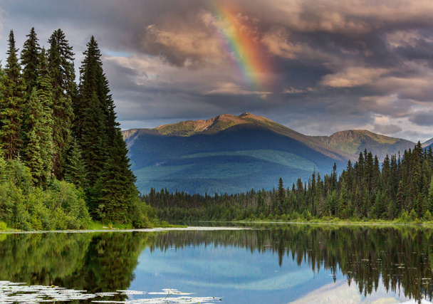 Kanada 'daki dağ gölünün sakin sularındaki kayaların yansımasıyla sakin bir manzara.. - Fotoğraf, Görsel