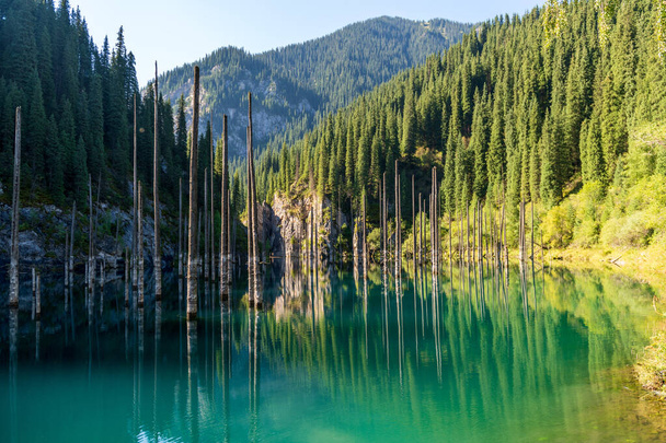 Lac Kaindy - lac de montagne au Kazakhstan
 - Photo, image