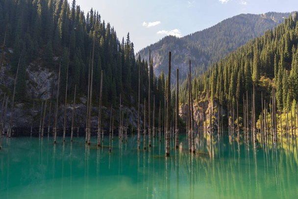 kaindy lake - Bergsee in Kasachstan - Foto, Bild