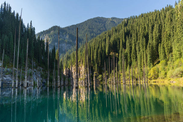 kaindy lake - Bergsee in Kasachstan - Foto, Bild