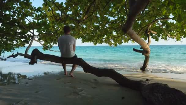 Jóképű mezítlábas férfi ül a fa alatt a trópusi strandon, sétál az óceánhoz kezet mosni. - Felvétel, videó