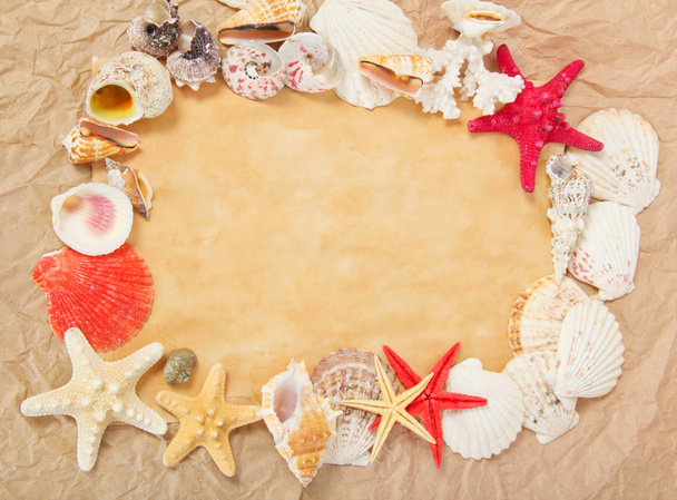 Old paper, starfishes and cockleshells - Photo, Image