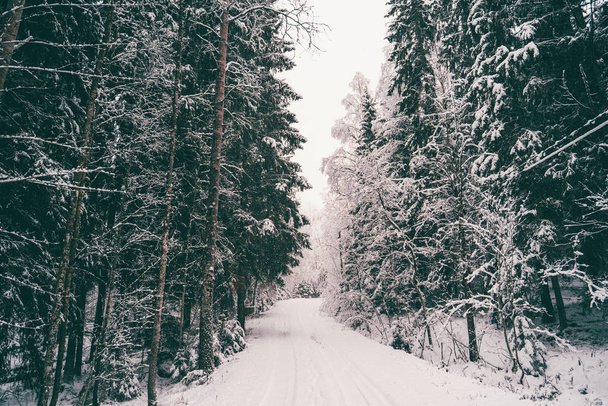 Afbeelding van een weg en bomen met sneeuw. - Foto, afbeelding