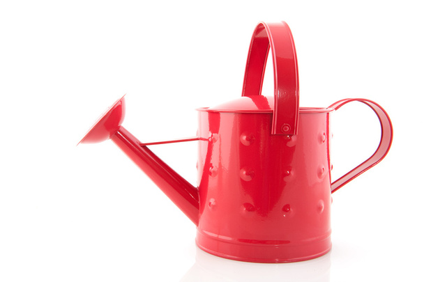 Pink watering can - Photo, image