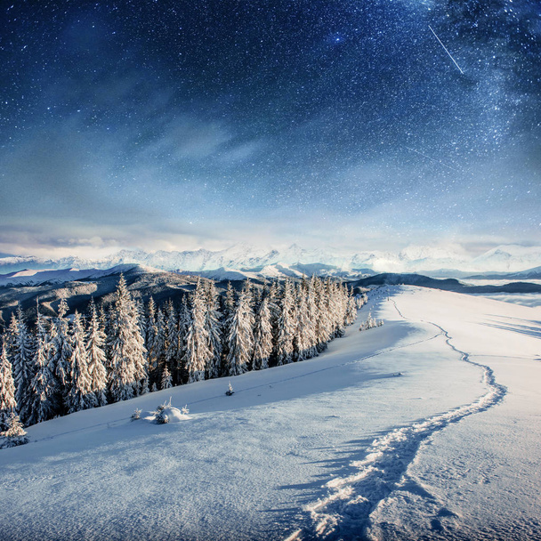 starry sky in winter snowy night. fantastic milky way in the New Year's Eve. In anticipation of the holiday. Dramatic scene. Carpathian. Ukraine. - Foto, immagini