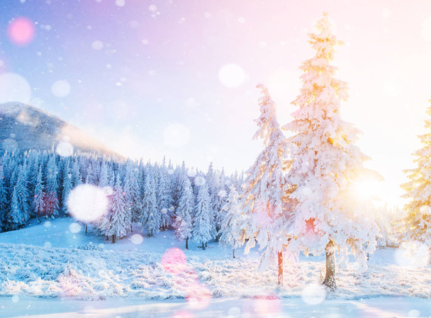 Titokzatos téli táj fenséges hegyek télen. Varázslatos téli hóval borított fa. Fénykép üdvözlés kártya. Bokeh fényhatás, lágy szűrő. Kárpát. Ukrajna. Európa - Fotó, kép