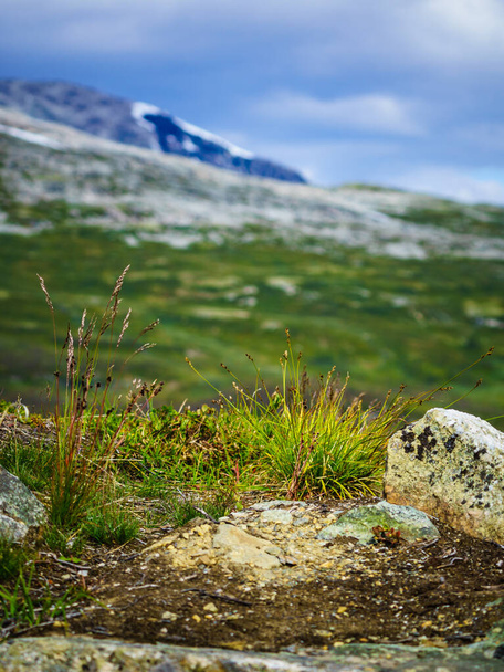 Mountains landscape. Norway route Aurlandsfjellet - Φωτογραφία, εικόνα