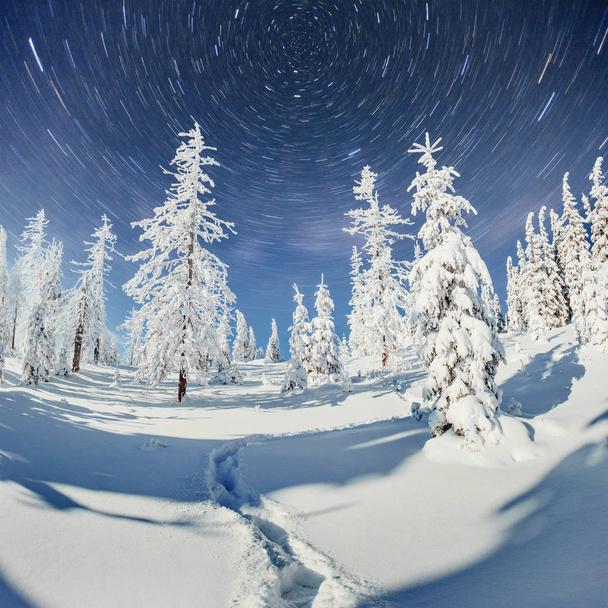 Dairy Star Trek in the winter woods. Dramatic and picturesque scene. In anticipation of the holiday. Carpathian, Ukraine, Europe - Foto, imagen