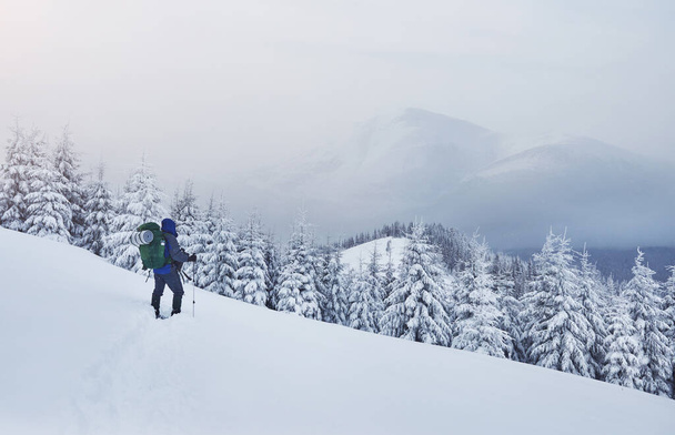 Snowshoe walker running in powder snow with beautiful sunrise light. Outdoor winter activity and healthy lifestyle. - Φωτογραφία, εικόνα