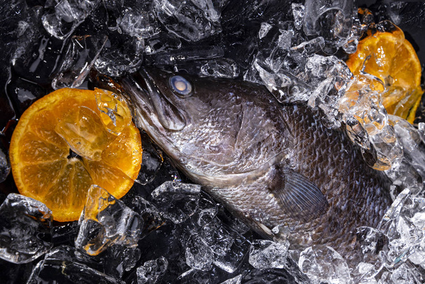 Verse zeebaars vis op het ijs op een zwarte stenige tafel bovenaanzicht - Foto, afbeelding