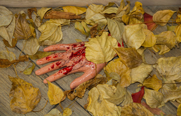 Halloween-Dekorationen. Hand in Blut in Blättern - Foto, Bild
