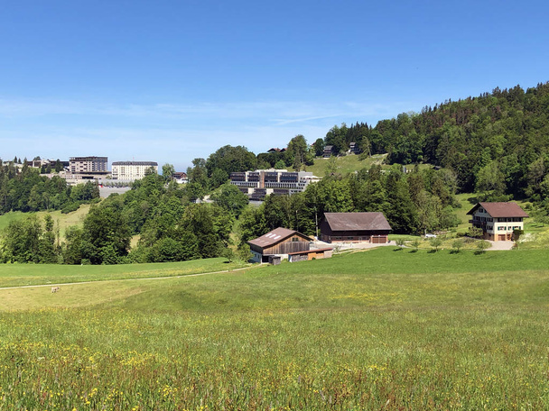 Venkovské farmy a pastviny na svazích pohoří Brgenstock (Buergenstock nebo Burgenstock) nad jezerem Luzerne nebo Vierwaldstaettersee (Vierwaldsattersee) - Kanton Nidwalden, Švýcarsko - Fotografie, Obrázek