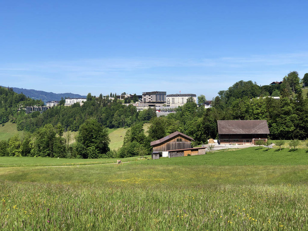 Gospodarstwa wiejskie i pastwiska na zboczach góry Brgenstock (Buergenstock lub Burgenstock) nad jeziorem Luzerne lub Vierwaldstaettersee (Vierwaldsattersee) - Kanton Nidwalden, Szwajcaria - Zdjęcie, obraz