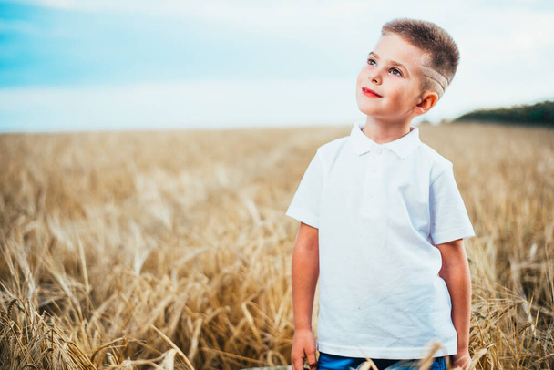 pensive little boy standing on wheat field and looking aside at copy space - Fotoğraf, Görsel