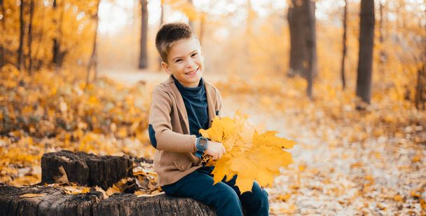 roztomilý šťastný chlapeček sedí a drží žluté listy v podzimním lese - Fotografie, Obrázek