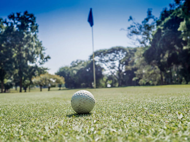 Foto di pallina da golf bianca su erba con sfondo cielo blu
 - Foto, immagini