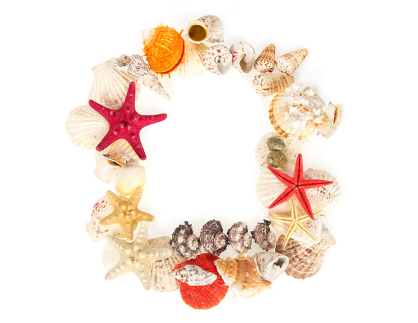 Frame from sea cockleshells and the stars, isolated on white - Φωτογραφία, εικόνα