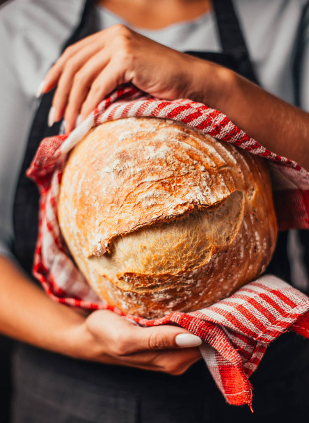 cropped shot of woman holding freshly baked bread in hands - Photo, image