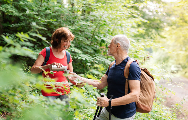 Senior tourist couple with backpacks on a walk in forest in nature. - Foto, Bild