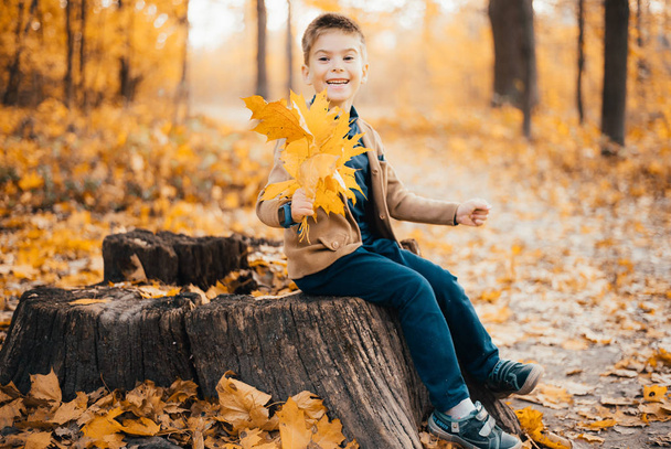 cute happy little boy sitting and holding yellow leaves in autumn forest - Foto, Imagem