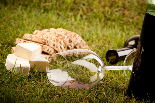 Wine Picnic on grass - Photo, Image