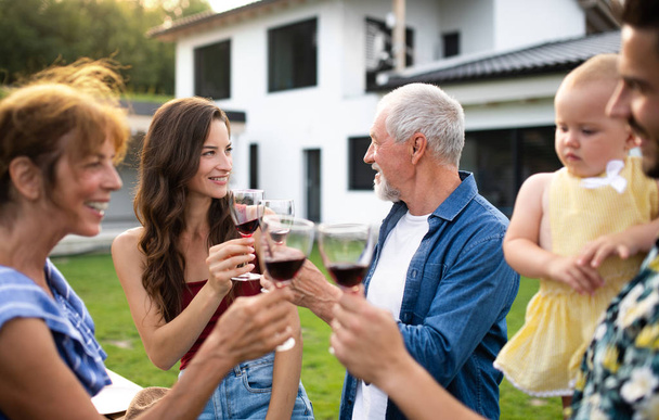 Portrait of people with wine outdoors on family garden barbecue. - Фото, зображення