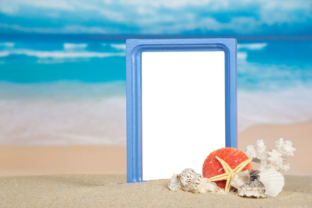 Frame, sea cockleshells and coral on the sandy coast - Φωτογραφία, εικόνα
