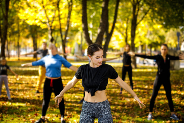 group of people doing outdoor workout - Photo, image