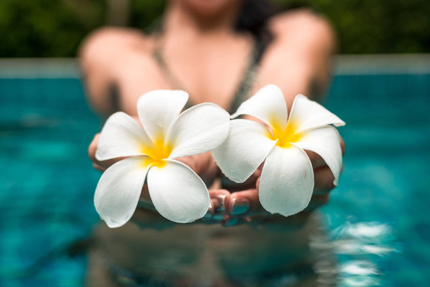 Kobieta w basenie pokazuje 2 piękne kwiaty. Frangipani kwiaty - Zdjęcie, obraz